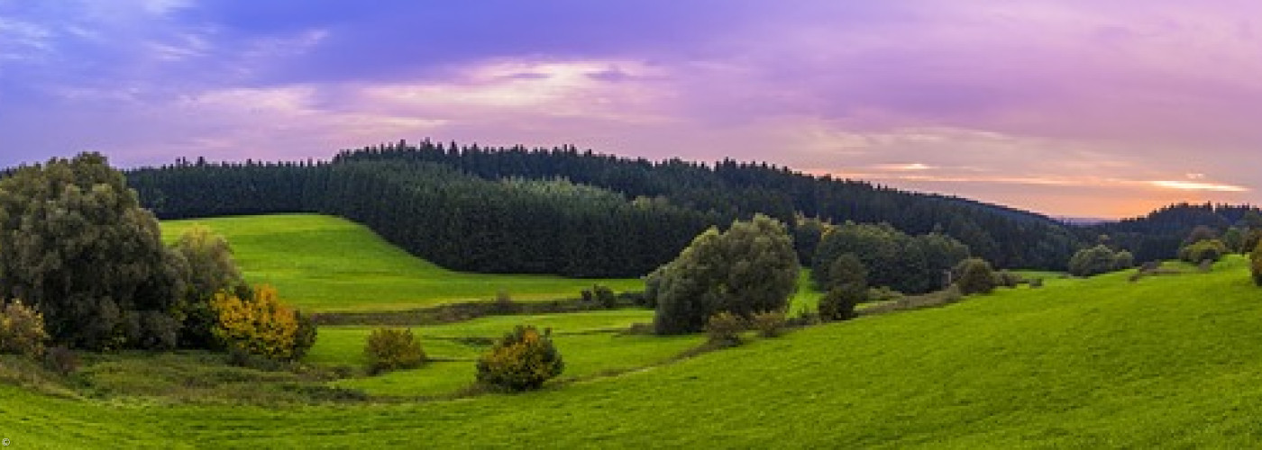 Panorama im Grünen