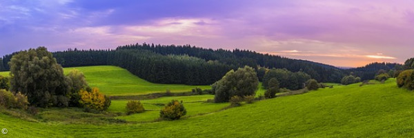 Panorama im Grünen
